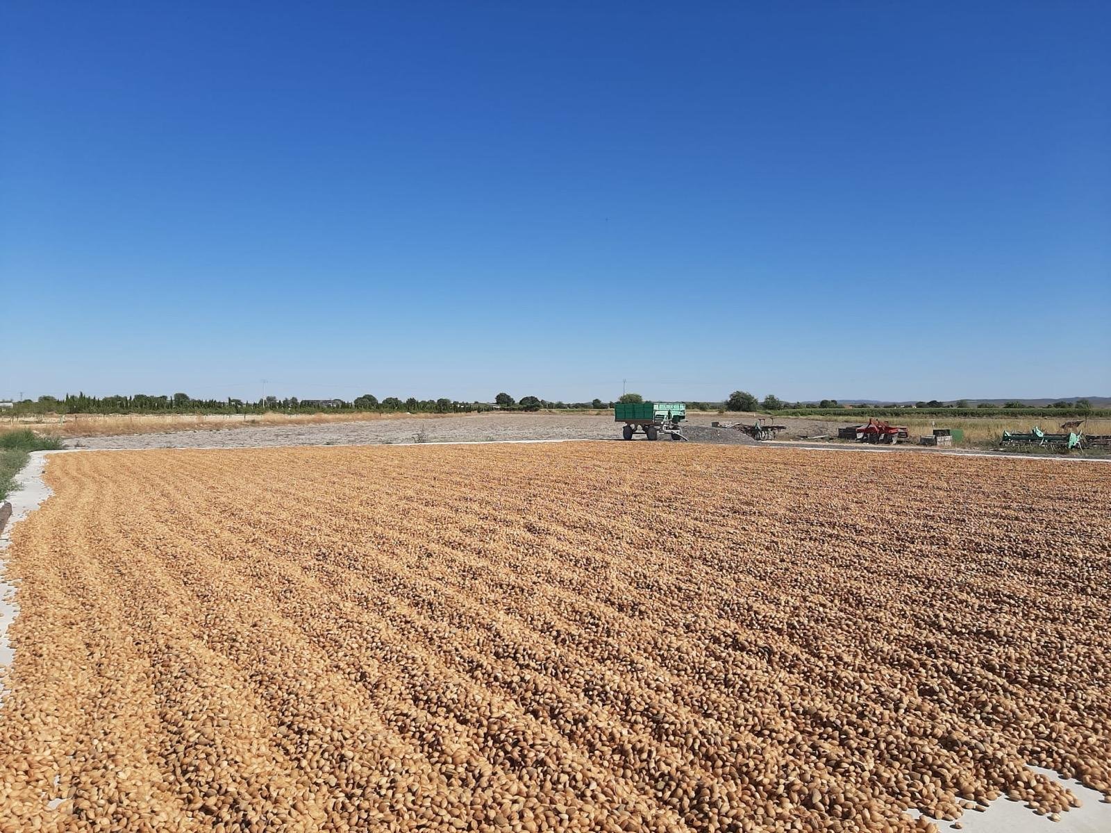 productos alimenticios naturales albacete