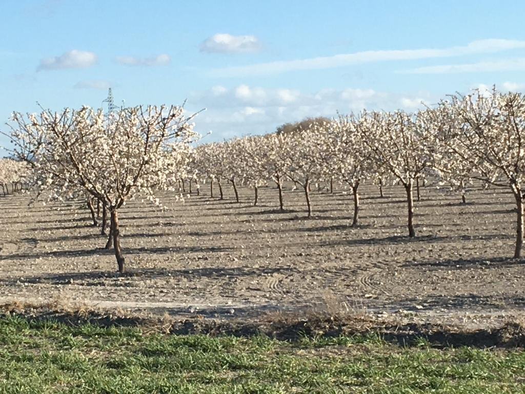 comunícate agricultura albacete